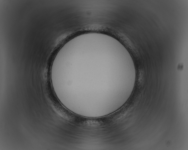 X0000089750636200707121342