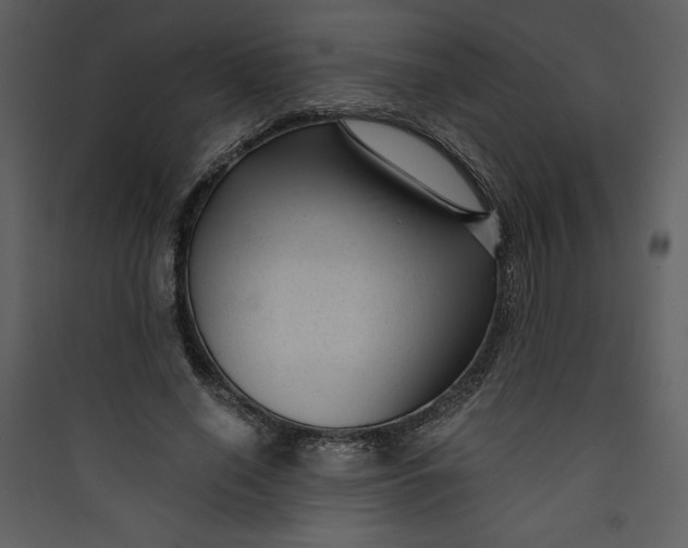 X0000089750638200707121342