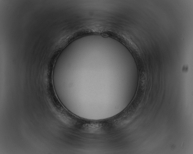 X0000089750639200707121342