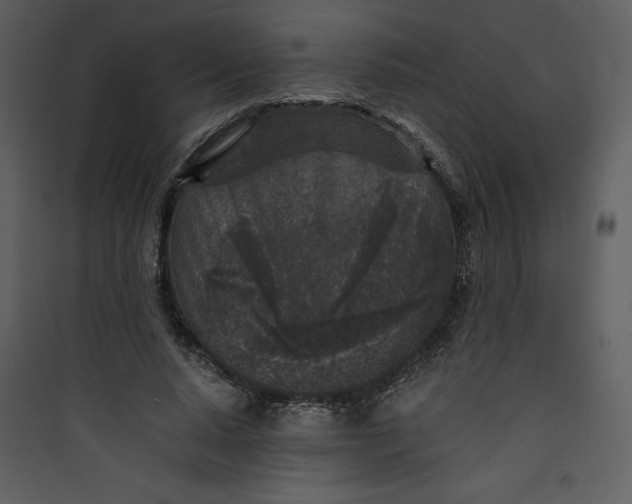 X0000089750640200707121342