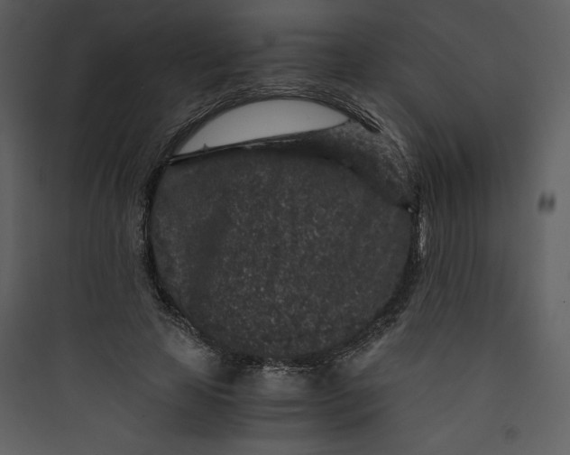 X0000089750641200707121342