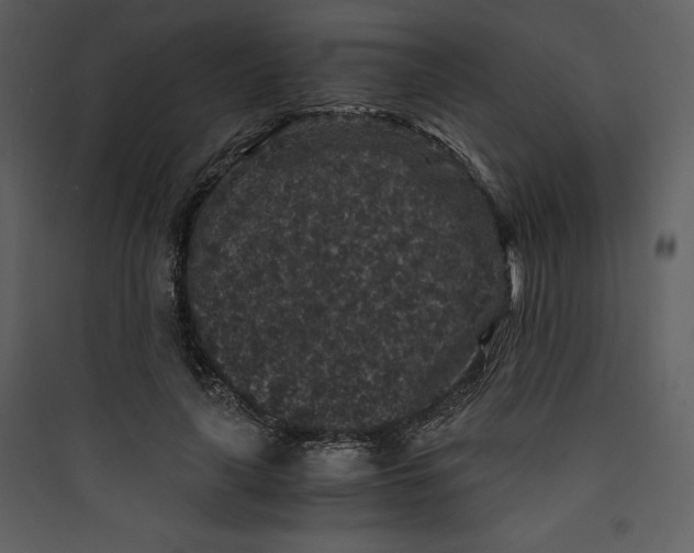 X0000089750643200707121342