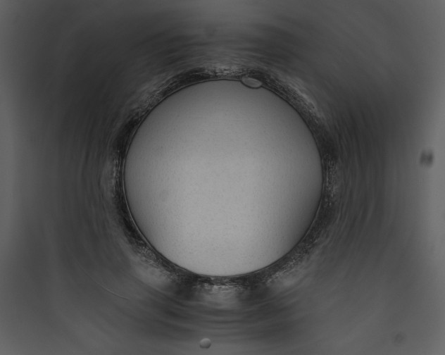 X0000089750645200707121342