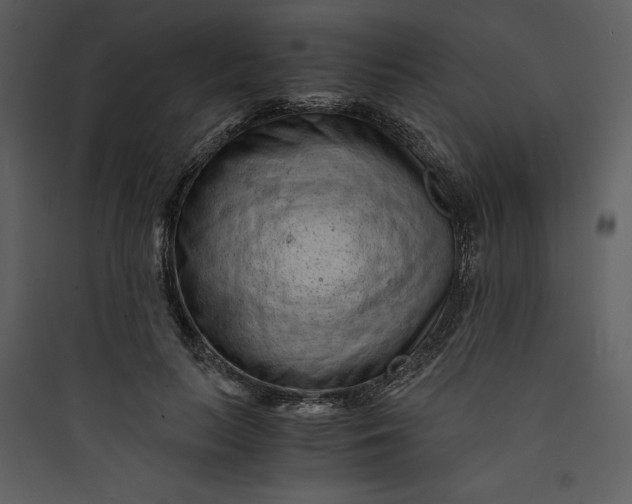 X0000089750647200707121342