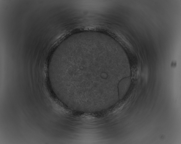 X0000089750648200707121342