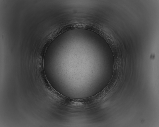 X0000089750649200707121342