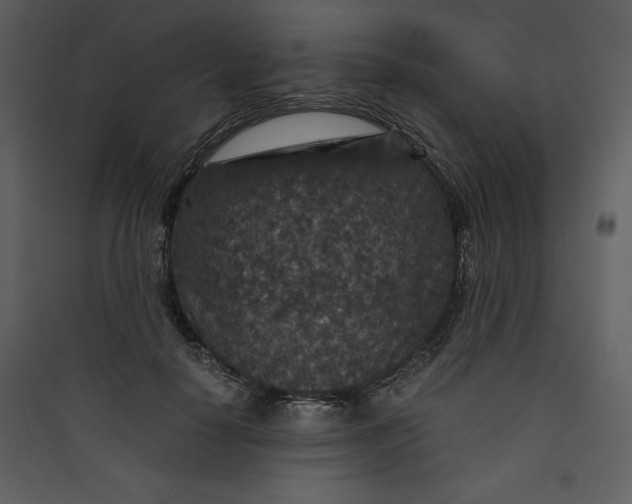 X0000089750650200707121342