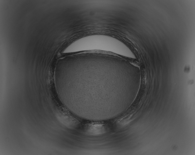 X0000089750651200707121342