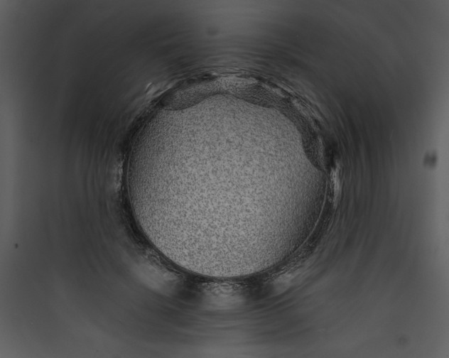 X0000089750652200707121342