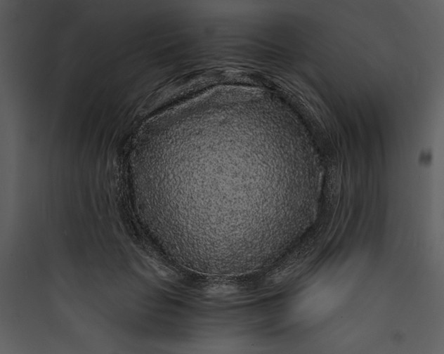 X0000089750653200707121342