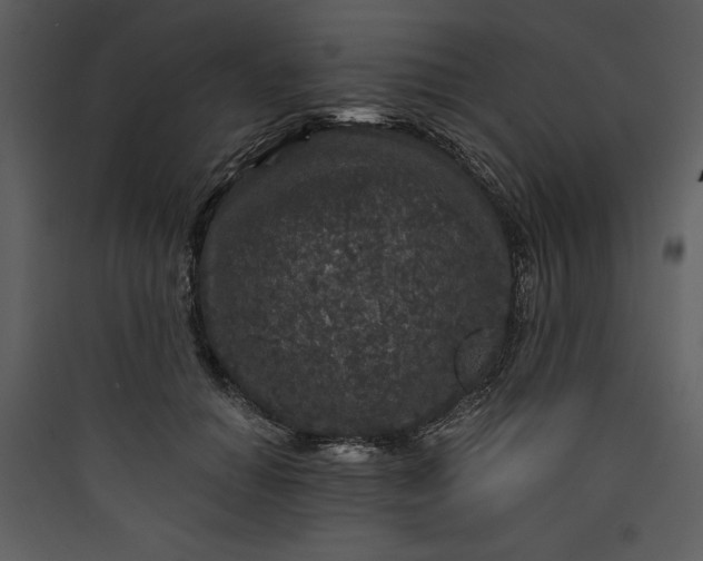 X0000089750654200707121342