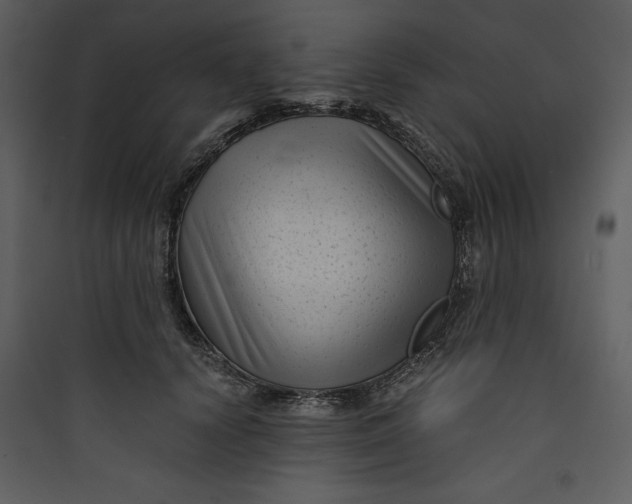 X0000089750656200707121342