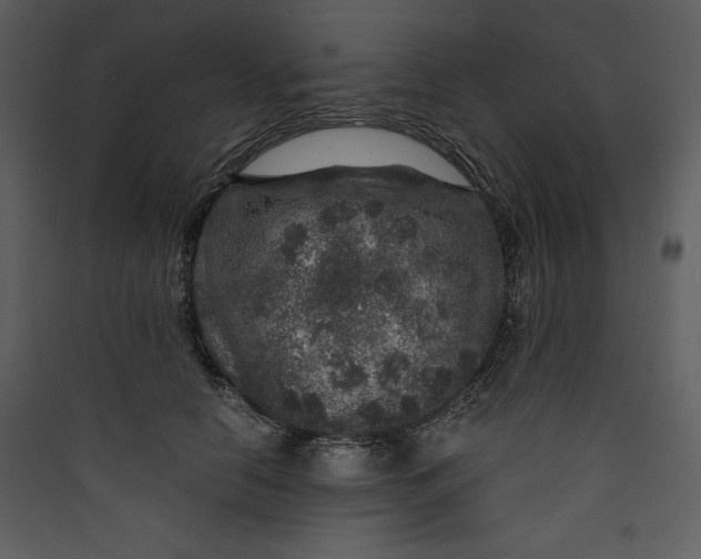 X0000089750658200707121343