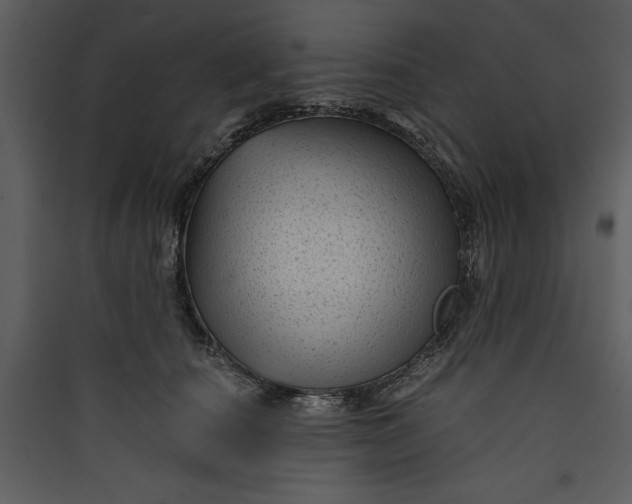 X0000089750660200707121343