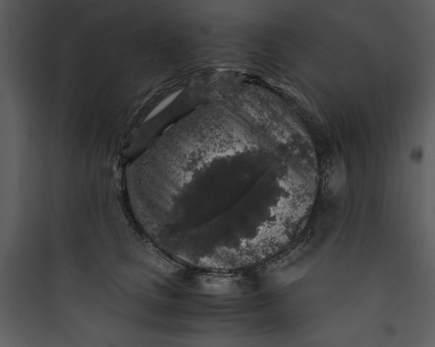 X0000089750661200707121343