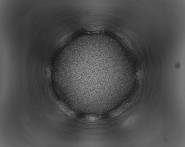 X0000089750662200707121343