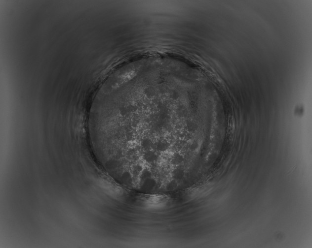 X0000089750663200707121343