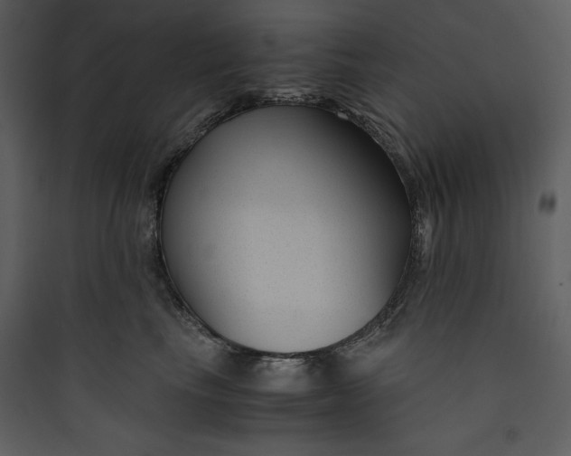 X0000089750665200707121343