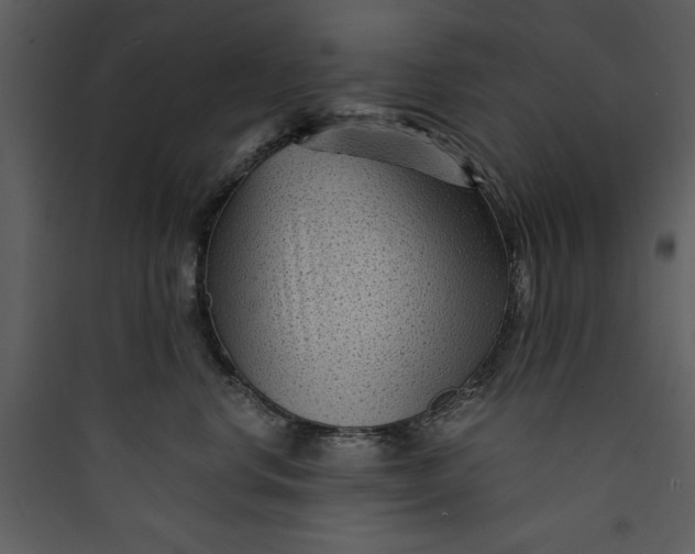 X0000089750668200707121343