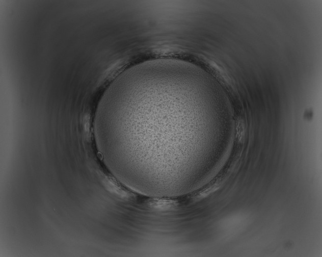 X0000089750670200707121343