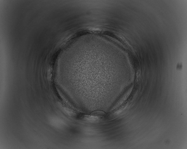 X0000089750671200707121343