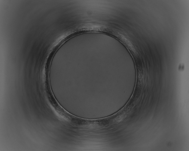 X0000089750674200707121342