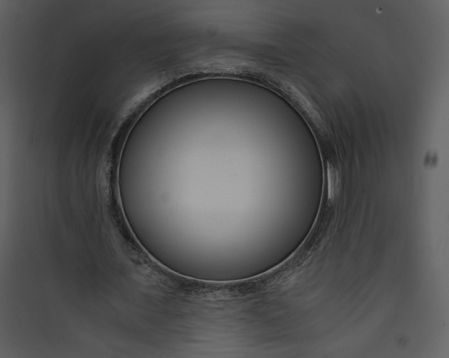 X0000089750675200707121342