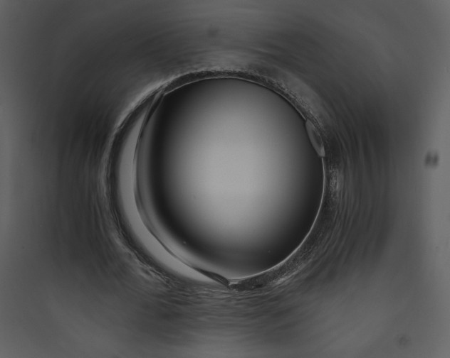 X0000089750676200707121342