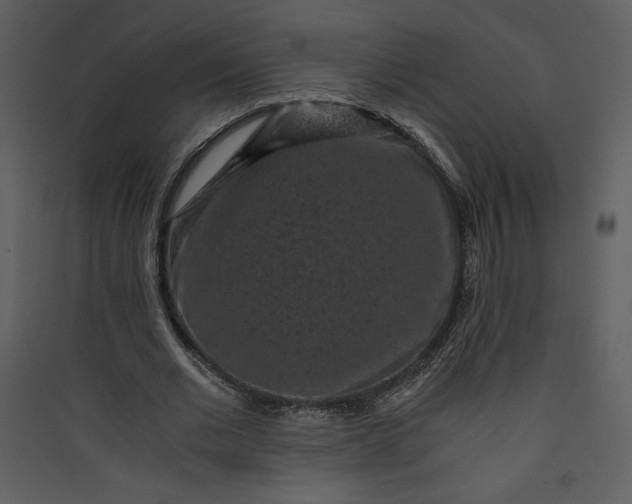 X0000089750677200707121342