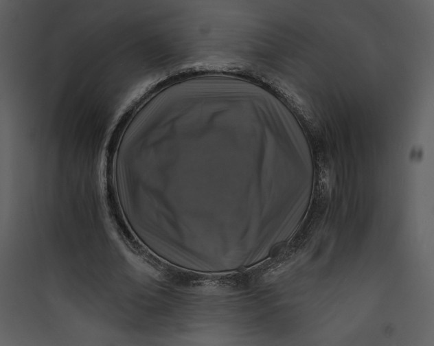 X0000089750678200707121342