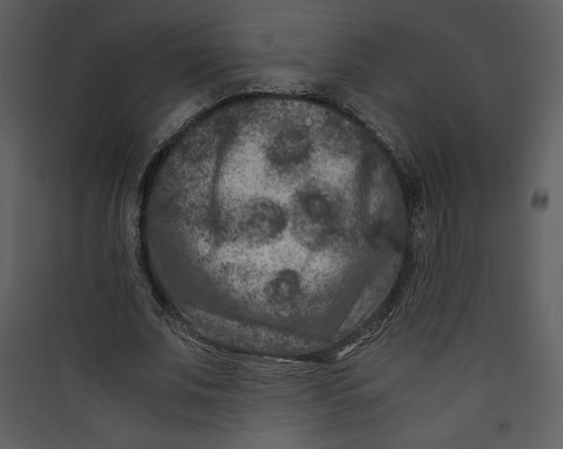 X0000089750679200707121342