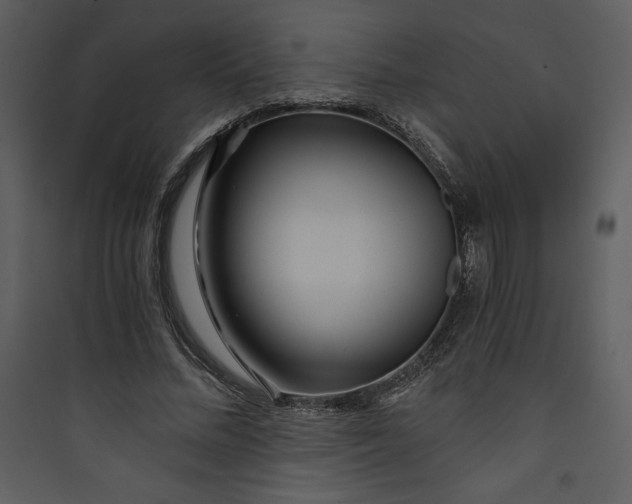 X0000089750684200707121342