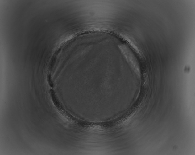 X0000089750685200707121342