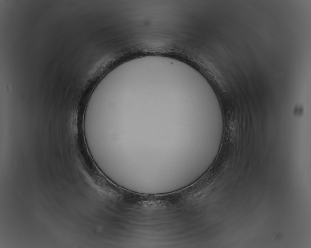 X0000089750686200707121342