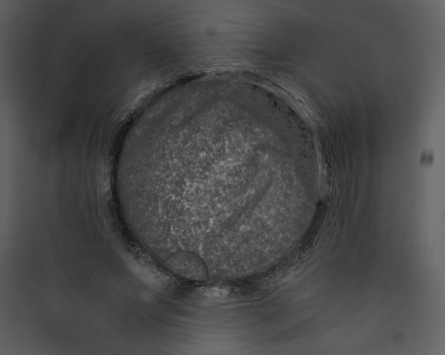 X0000089750687200707121342