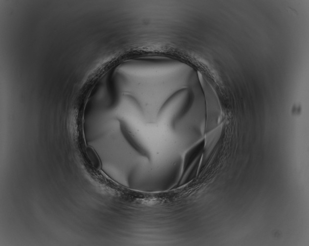 X0000089750688200707121342