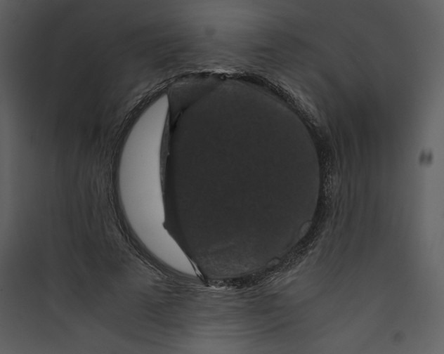 X0000089750689200707121342