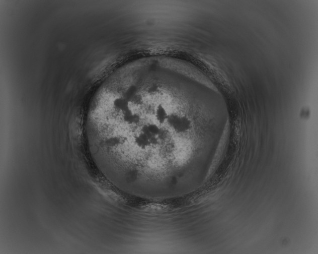 X0000089750691200707121342