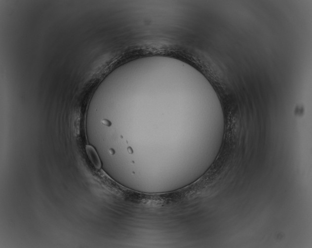 X0000089750694200707121341