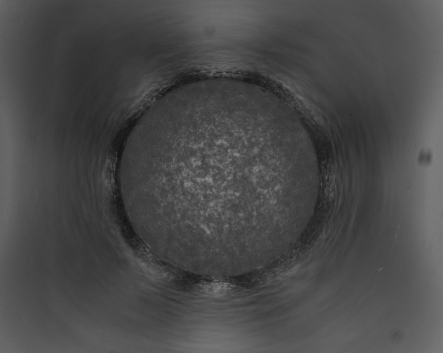 X0000089750695200707121341