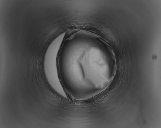 X0000089750697200707121341