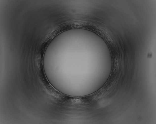 X0000089750698200707121341