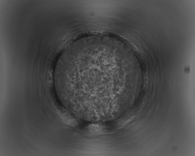 X0000089750699200707121341