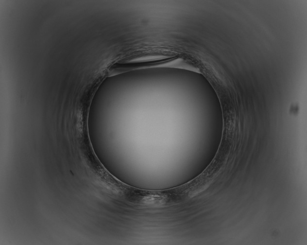 X0000089750700200707121341