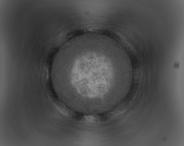 X0000089750703200707121341