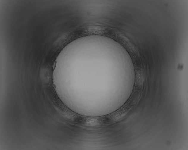 X0000089750705200707121341