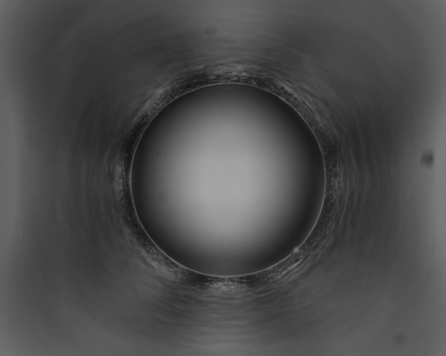 X0000089750708200707121341