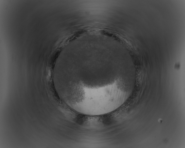 X0000089750709200707121341