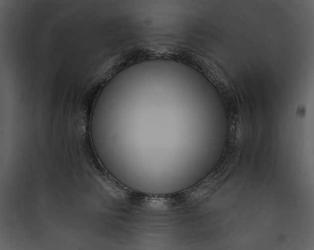 X0000089750710200707121341