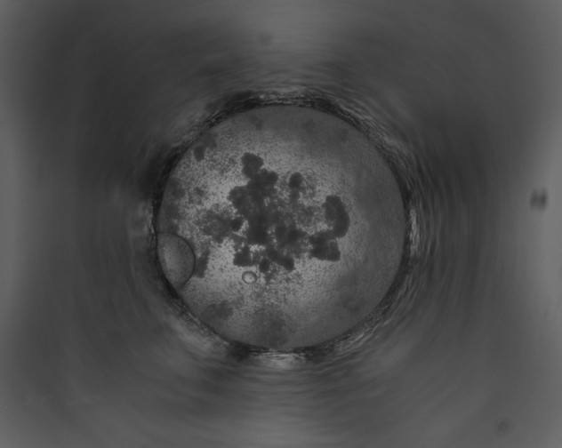 X0000089750711200707121341